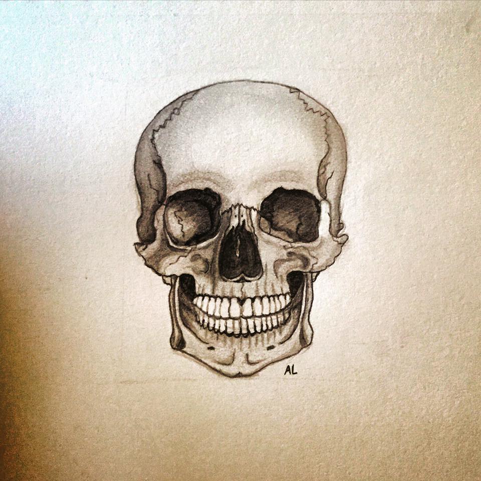 skull drawing