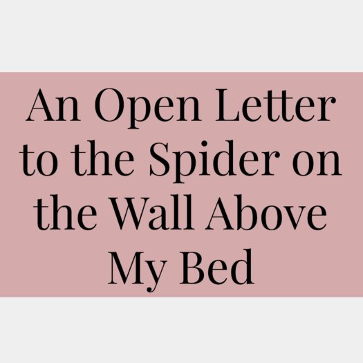 An Open Letter to the Spider on the Wall Above My Bed