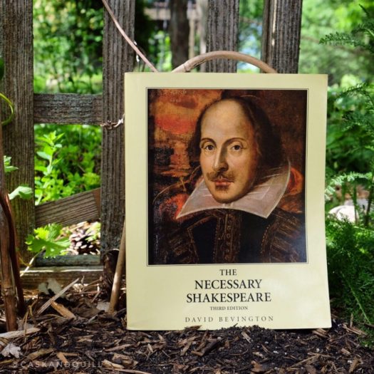 The Necessary Shakespeare cover